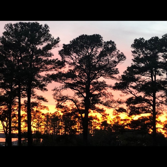 Meet your Posher, Kathy - Picture 1 of 1